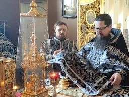 Фёдора Тирона